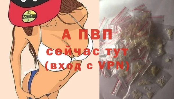 амф Арсеньев