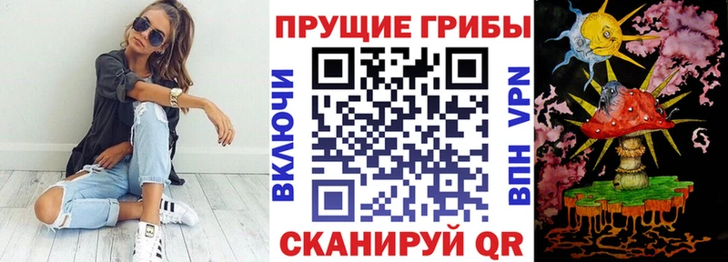 Псилоцибиновые грибы GOLDEN TEACHER  Пудож 